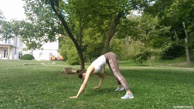 Касания рукой стопы стоя в планке с поднятым тазом смотреть онлайн