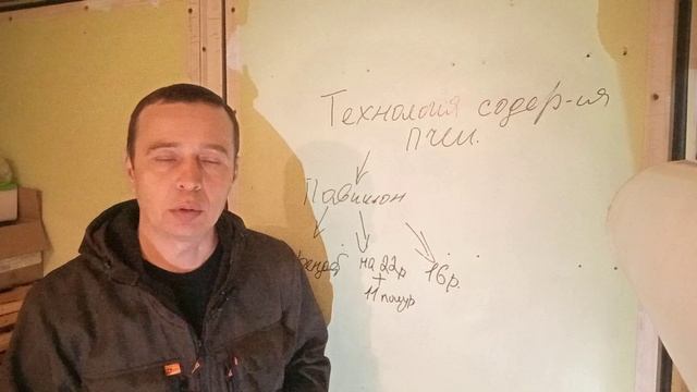 Наш опыт содержания пчёл