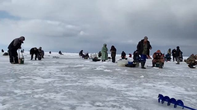 Дудергофский канал/Финский залив. Ловля леща на мормышку! 2 апреля 2022 года смотреть онлайн