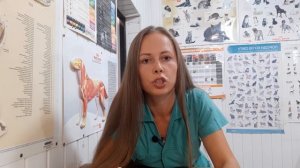 Мухи заживо съедали собаку / Спасение собаки / Как избавить собаку от опарышей