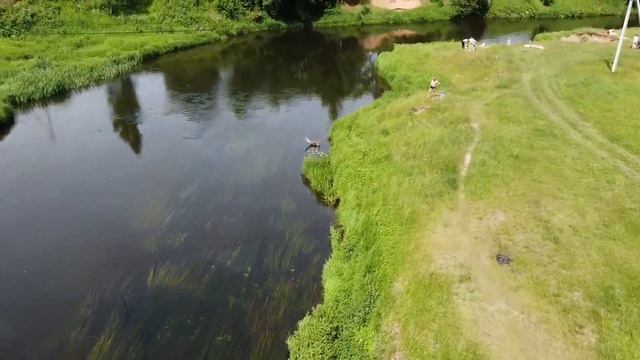 Река Оредеж в Вырице смотреть онлайн