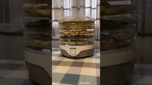 Обзор сушки для фруктов и овощей Gorenje FDK20MG (KYS-326A)