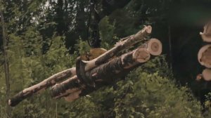 КУДА ПОЙТИ УЧИТЬСЯ: ТГСХА - лесопереработка