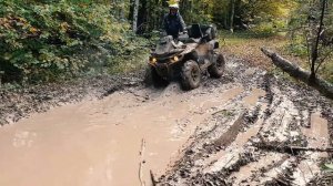 Осеняя покатушка на квадроциклах Brp, Cf-moto Z8, Stels Guepard