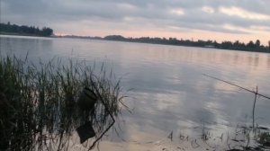 Наш трофейный сазан на 2.840 Сезон 2020г. Зеленый остров