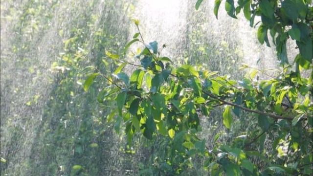 Плачет саксофон. смотреть онлайн