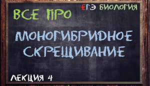 Л.4 | МОНОГИБРИДНОЕ СКРЕЩИВАНИЕ | ГЕНЕТИКА | ОБЩАЯ БИОЛОГИЯ ЕГЭ