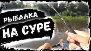 Рыбалка на СУРЕ с Ночевой!! Как это было?! Что удалось поймать!?