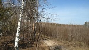 самая высокая точка Пензенской области..