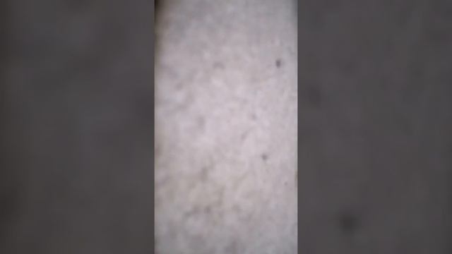 Рассказ про пистолет и кнопку смотреть онлайн