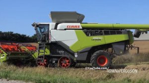 Claas Lexion 8900 Harvesting Canola | WORLDS BIGGEST COMBINE | Harvest Season 2021