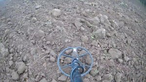 X Terra 705 ; Ася 250 про. в работе.....