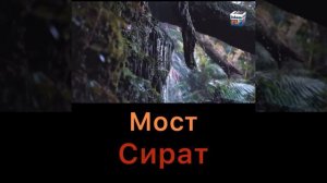 Мост Сират Барзах Ахират Рай Ад #ислам #коран