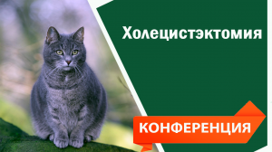 Холецистэктомия