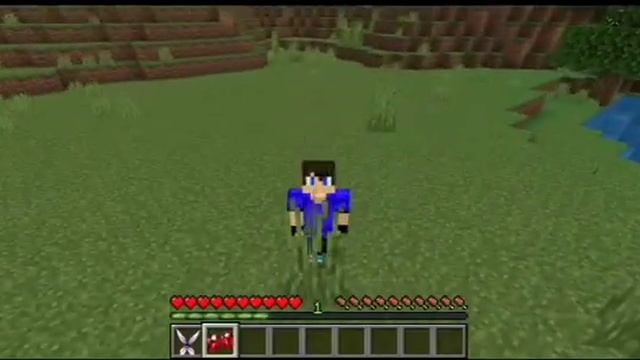 ТОПОВЫЙ МОД НА ЛЕДИ БАГ И СУПЕР КОТА ДЛЯ ТВОЕГО МАЙНКРАФТ PE!!! смотреть онлайн