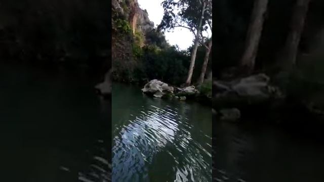 12.11.20 Наш день Муслиновой свадьбы смотреть онлайн