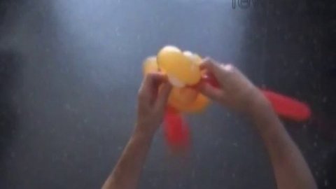 Balloon duck. Balloon goose. Balloon ostrich