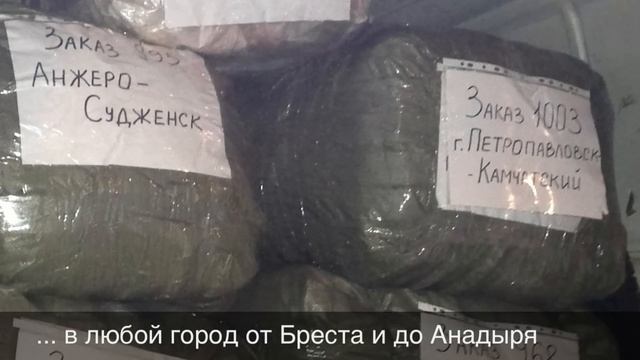 Носки оптом. Склад носков - А42. смотреть онлайн