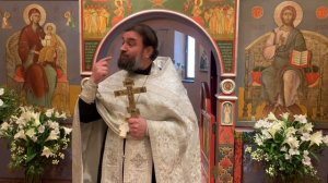 Слово на Венчании. Протоиерей  Андрей Ткачёв.