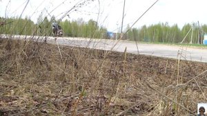 Купил Восход