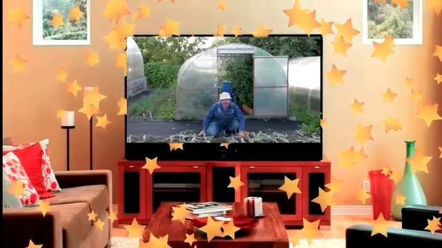 Сбор урожая лука.   Лук чернушка