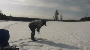 ТРУДОВАЯ ПОЕЗДКА, НЕ ПЛОХОЙ УЛОВ!