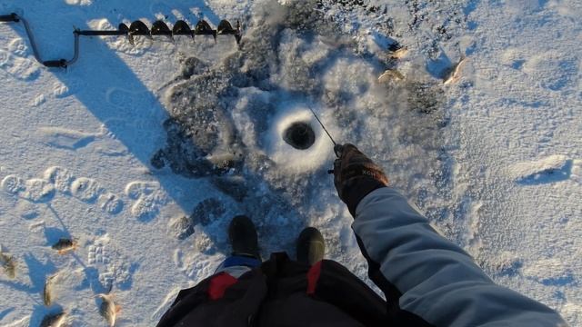 РЫБАЛКА НА БАЛАНСИРЫ. Новое место. МОРОЗ 30°С НЕ ПОМЕХА!!! #первыйлед #рыбалка #fishing