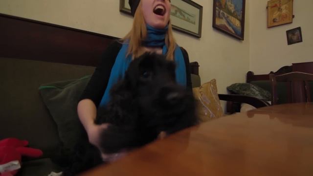 Как мы смотрели финиш в гонке на 50 км смотреть онлайн