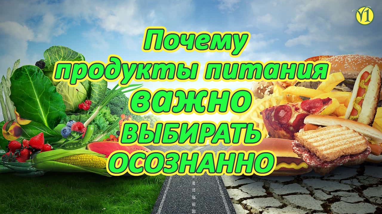 Евгений Агафонов (основатель проекта "Живая Пища") Почему продукты питания нужно выбирать(видео 219)
