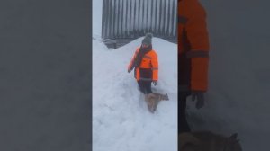 Олесь петрович