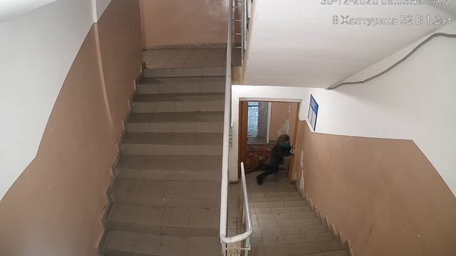 Пьяную домой смотреть онлайн