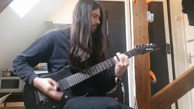 SIGNS OF THE SWARM - The Collection (GUITAR COVER 2021) смотреть онлайн