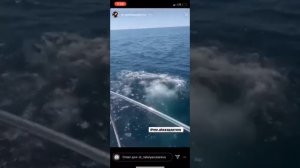 Алексей Воробьев и Наталья Зубарева отдыхают на яхте