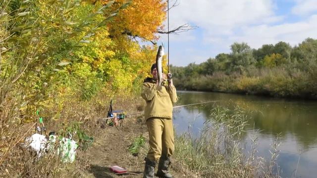 Гринч и щука смотреть онлайн
