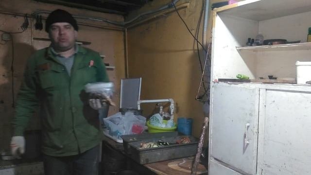 Кормление цыплят белковым кормом