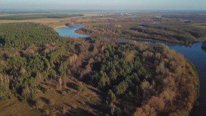 р Неман.  близ а.г. Дубно Гродненская обл. Мостовской р-н.РБ