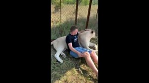 Звезда Тайгана Герда