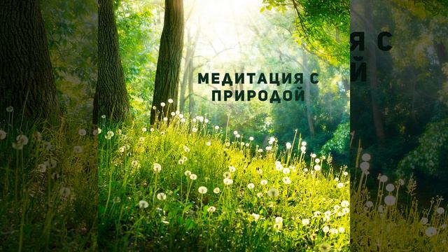 Цветущий луг