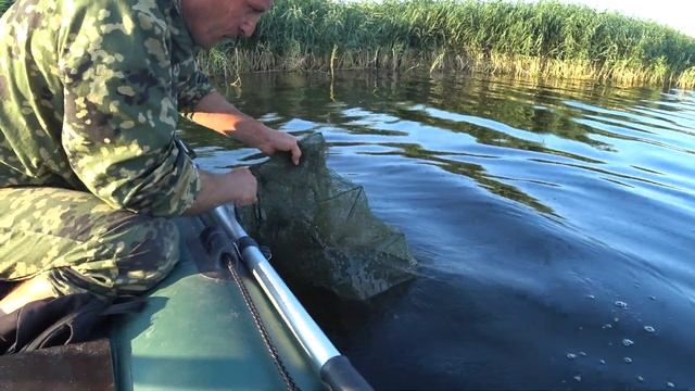 В ПОИСКАХ РАКОВ |2020| ХОТЕЛИ ПОЙМАТЬ РАКОВ. смотреть онлайн