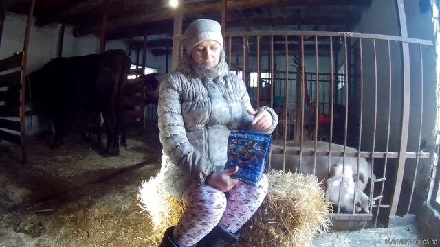 Китайские БАКТЕРИИ//Провожу эксперимент //несменяемая подстилка для свиней.