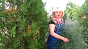 АСПАРАГУС САДОВЫЙ ИЛИ СПАРЖА!!! ВЫРАЩИВАНИЕ, ЛЕЧЕБНЫЕ СВОЙСТВА, ИСПОЛЬЗОВАНИЕ!!! Asparagus
