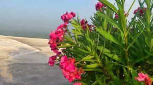 Памуккале, Турция. На машине в Турцию. Источники Памуккале, Иераполис. Бассейн Клеопатры. Памукале.