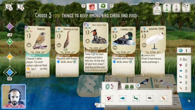 Wingspan Strategy | Starting Hand Tips and Tricks! смотреть онлайн