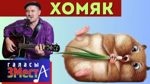 Хомяк -  Галасы ЗМеста