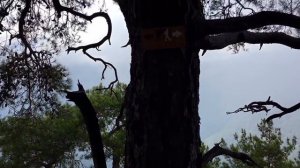 От Гёйнюка 25 км по Ликийской тропе