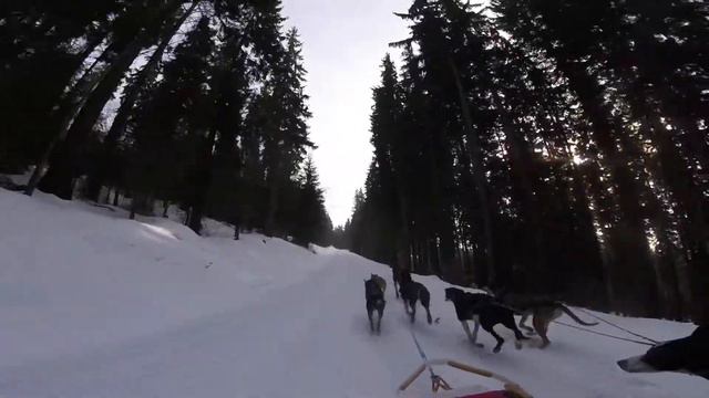 GOPR3618 смотреть онлайн