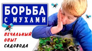Мой ПЕЧАЛЬНЫЙ ОПЫТ борьбы с мухами