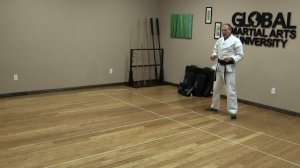 Shotokan Karate Follow Along Training Class - 9th Kyu White Belt - Class 4