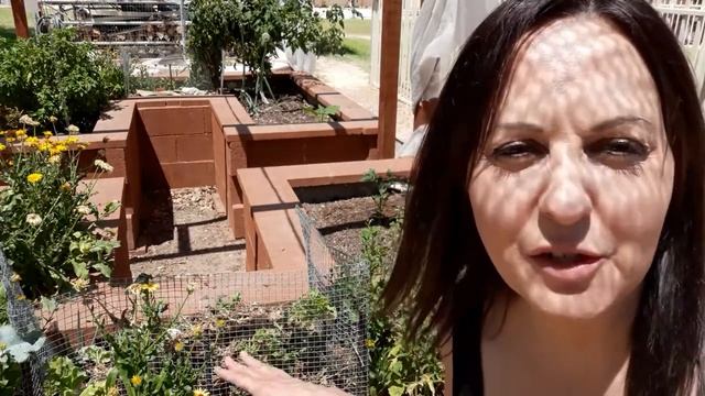 Garden Clean Up And Worms Part 2 // Red Wiggler Worms // Gilbert, AZ смотреть онлайн