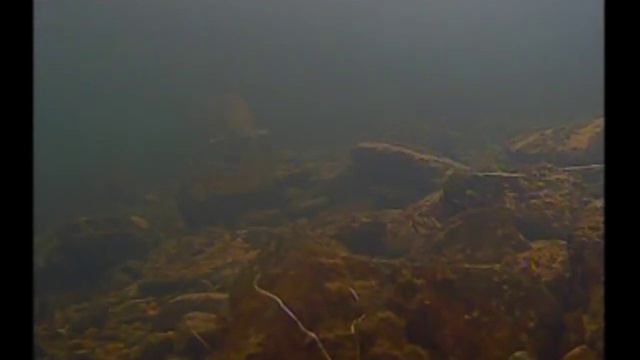 Иман 5 декабря Ленок смотреть онлайн